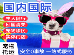 东郊航空物流国际宠物托运 【国